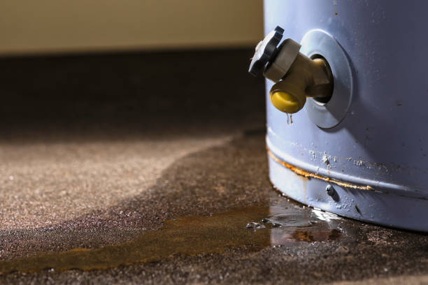 Best Carpet water damage restoration  in Rio Rancho, NM