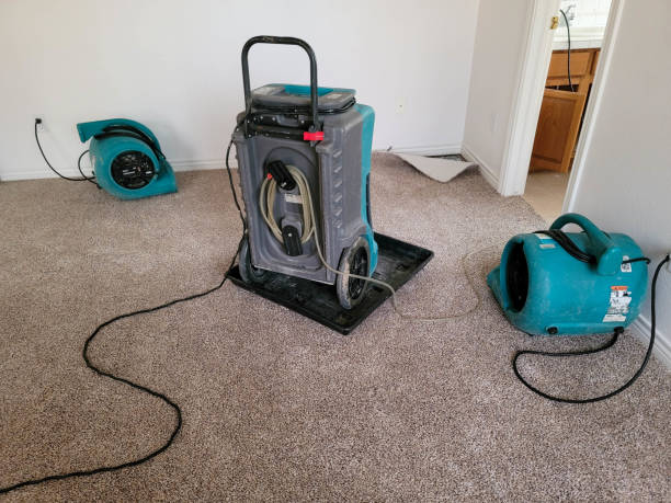 Water damage restoration insurance claims in Rio Rancho, NM