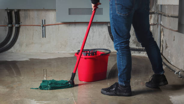 Best Sewage cleanup and water damage restoration  in Rio Rancho, NM