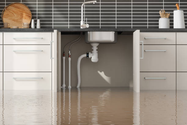 Best Residential water damage restoration  in Rio Rancho, NM